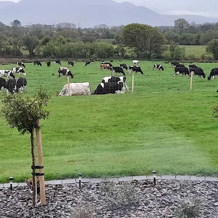 Inch View * Milltown (Kerry)