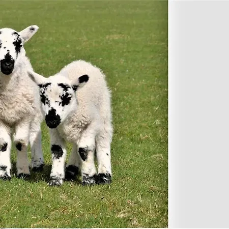 Inch View منزل ريفي *