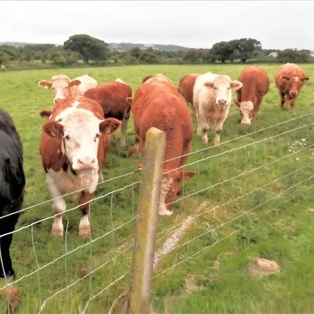 منزل ريفي Inch View *