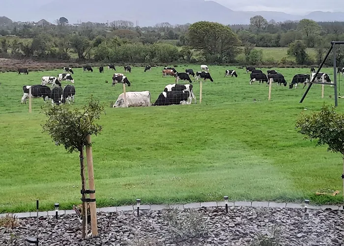 Inch View * Milltown