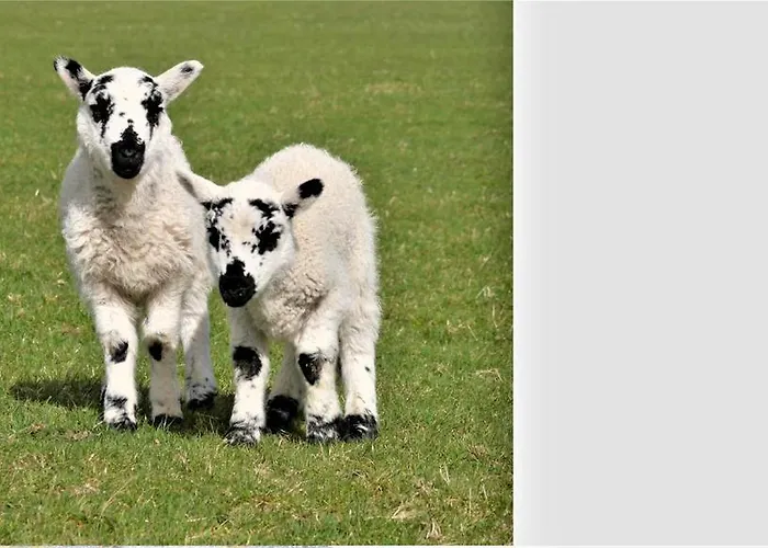 Inch View Landhuis *