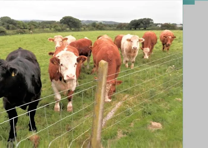 Landhuis Inch View *